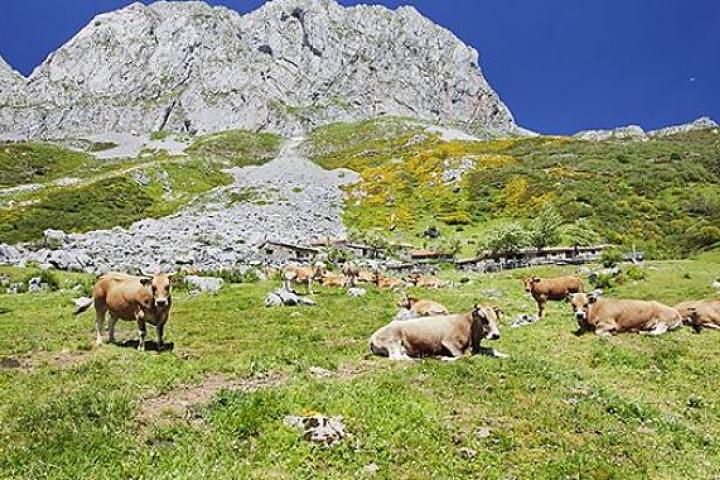 Los GAL podrán presentar Planes de Sostenibilidad Turística en Destinos en la convocatoria extraordinaria del Ministerio de Turismo