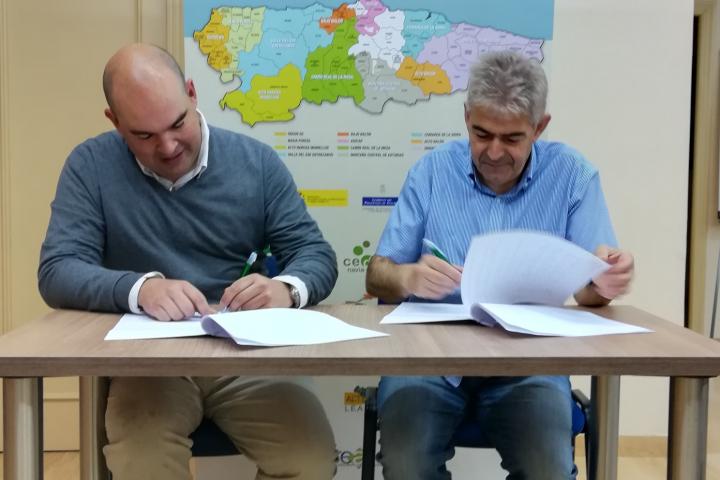 READER contrata un servicio de auditoria para la entidad y los once Grupos de Desarrollo Rural