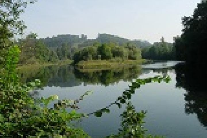 Bajo Nalón aprueba 22 proyectos en la primera convocatoria de ayudas LEADER del año 2017