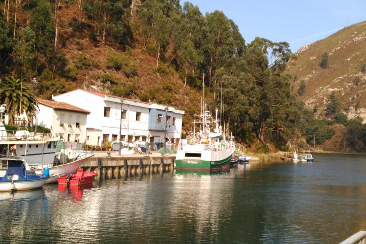 El Principado convoca ayudas por casi 200.000 euros para cuatro Grupos de Acción Local de Pesca