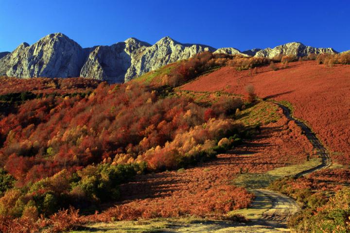 Más de la cuarta parte de España se dedica a la conservación de la naturaleza