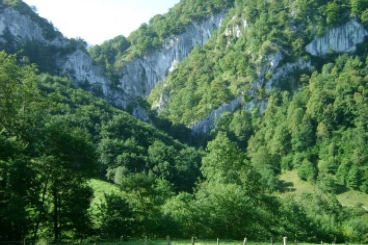 La Oficina de Proyectos Europeos recibe más de 230 propuestas con aspiraciones de financiación del fondo de recuperación de la UE