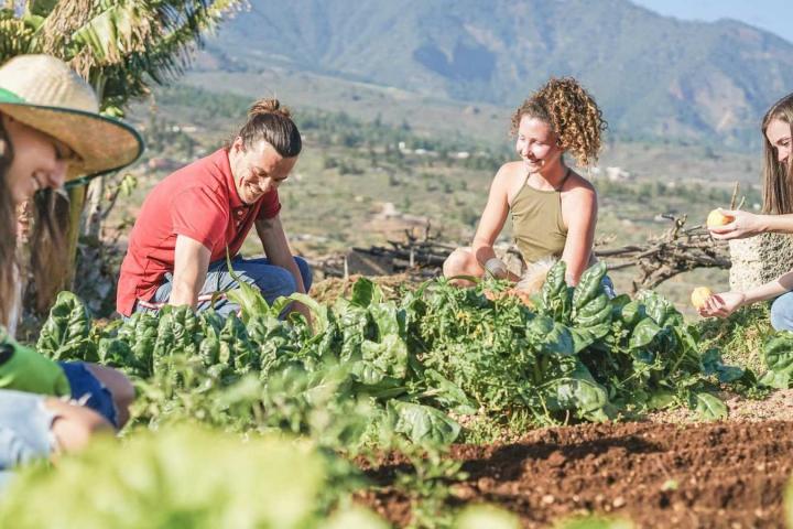 Erasmus rurales, una nueva forma de evitar la despoblación de la España vacía