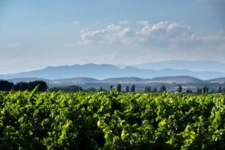 Desarrollo Rural destina 350.000 euros a asesorar a 3.300 explotaciones agrarias