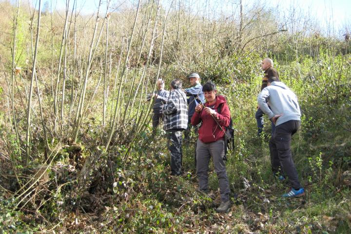 READER ofrece cursos gratuitos para desempleados/as sobre Agricultura ecológica y aprovechamientos forestales en Lena y Tineo