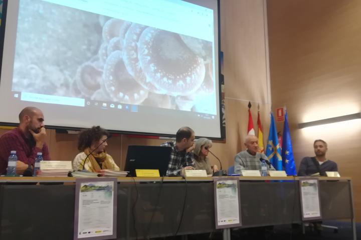 La agricultura ecológica, un mercado en crecimiento lejos aún de alcanzar la madurez