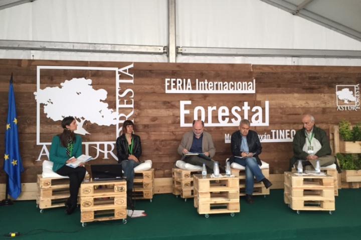 READER defiende el valor de los bosques más allá de la producción de madera