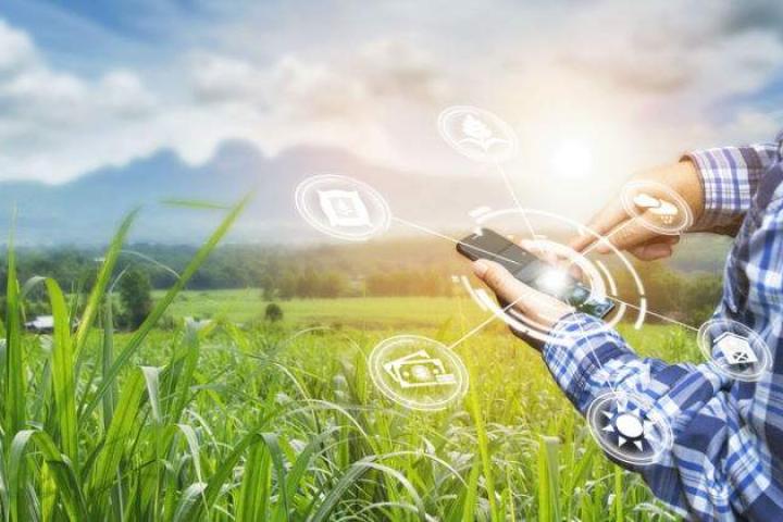 Startup Olé lanza la iniciativa de ámbito europeo ReInA, para impulsar el entorno rural