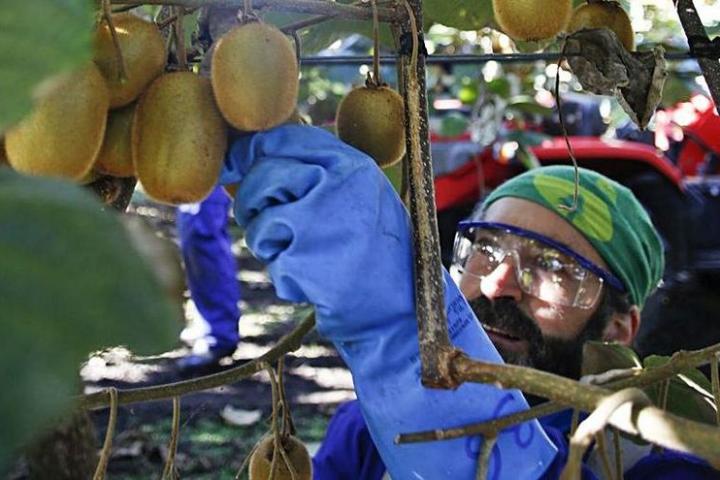 El medio rural asturiano: dudas y esperanzas. La necesidad de generar oportunidades laborales