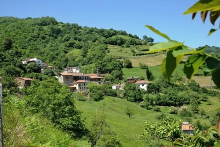 Asturias valora los avances para «singularizar» la cornisa cantábrica y su explotación agraria familiar en la PAC