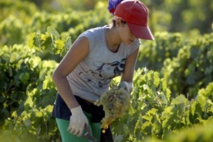 Las mujeres rurales de Asturias participarán en talleres gratuitos online para mejorar la empleabilidad