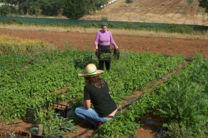 El Ministerio publica un Manual sobre la Titularidad Compartida de las Explotaciones ante el bajo impacto que esta ley ha generado entre las mujeres