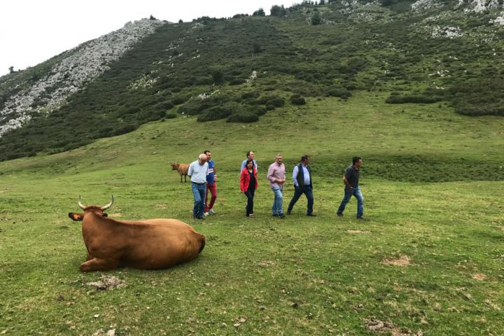 Desarrollo Rural concluye la mejora de caminos en Grado, Quirós y Santo Adriano con una inversión de 204.000 euros