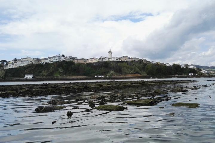 Desarrollo Rural destina casi 400.000 euros a ayudas para trece proyectos de los grupos de acción costera