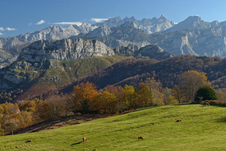 El Parque de Ponga divulga el papel de los insectos en los ecosistemas naturales