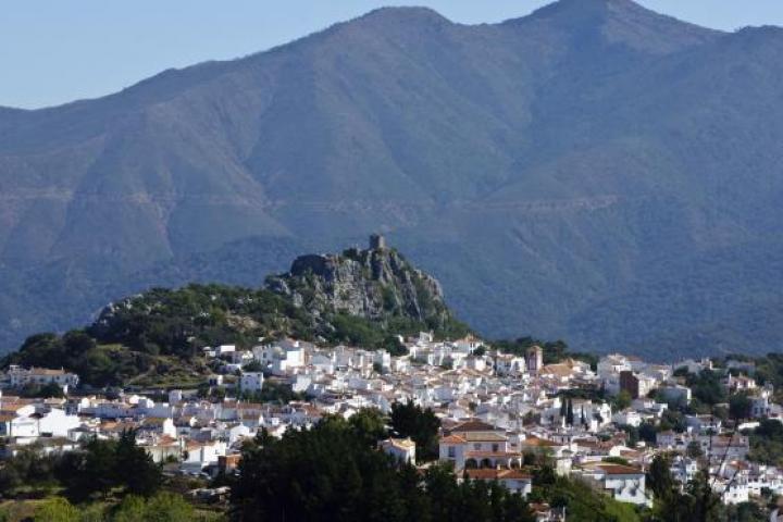 Un informe revela la emigración de ámbito rural a ciudades y las altas tasas de paro y abandono escolar en ninis