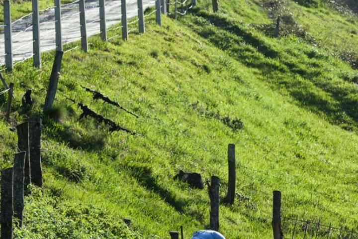 La gestión empresarial, la comercialización, la atención a mayores y las energías renovables, empleos con más futuro en el medio rural
