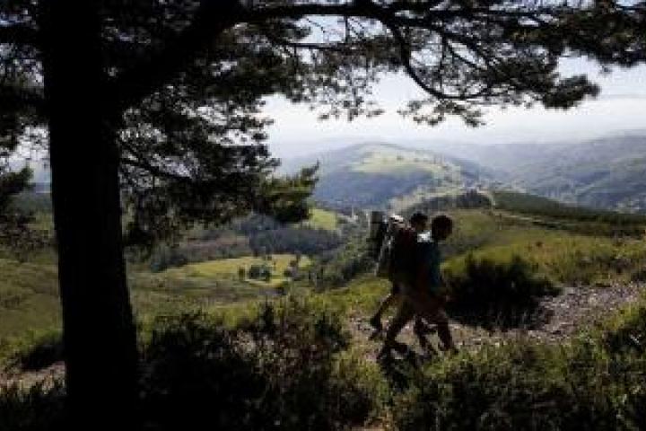 Tineo ve futuro en la agroalimentación, los montes y el turismo, pero "fácil no es nada"