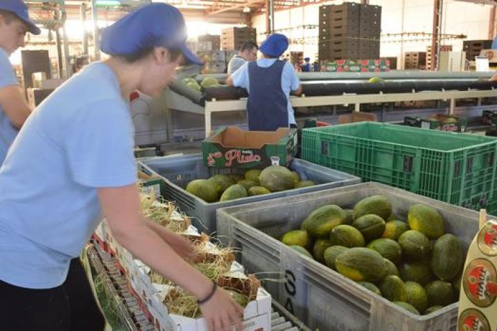 SOS: el campo envejece