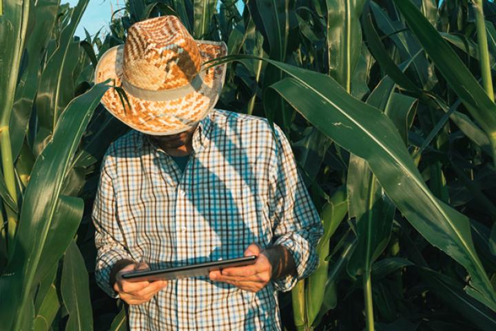 Asturias destina cuatro millones a impulsar proyectos innovadores de los grupos operativos de desarrollo rural