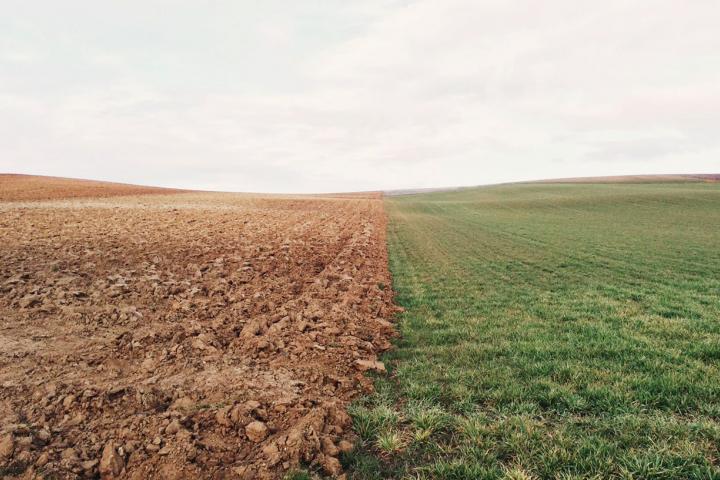 Desarrollo Rural organiza una jornada sobre la Política Agrícola Común después de 2020