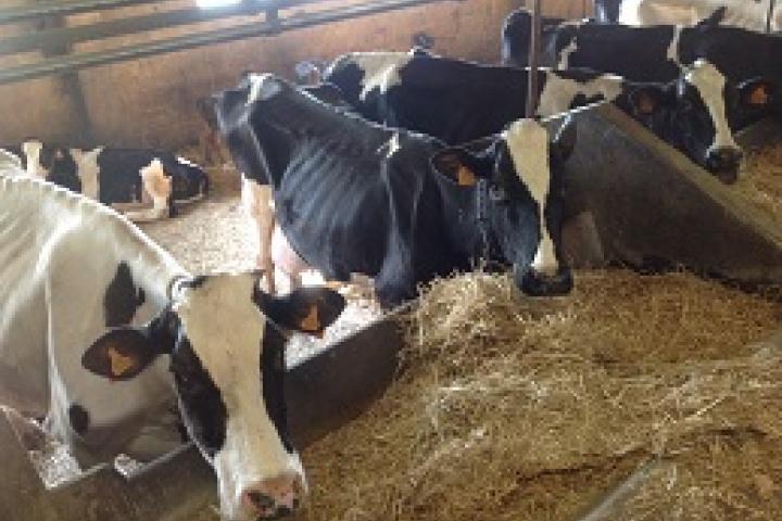 Desarrollo Rural convoca las ayudas de la Política Agrícola Común por un importe de 45,5  millones