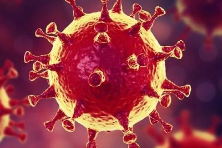 Informe jurídico sobre la prestación de los autónomos en relación con las ayudas LEADER y el COVID19