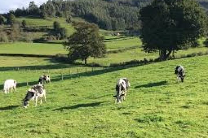 Asturias modifica la PAC para aumentar las ayudas directas a las explotaciones en 14 millones