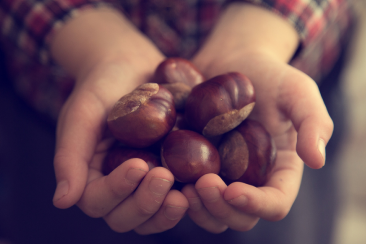 El Gobierno destinará 47 millones a impulsar la innovación en el sector agroalimentario