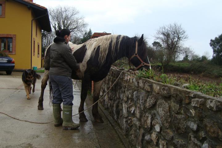La Eurocámara, contra la brecha entre hombres y mujeres en la PAC