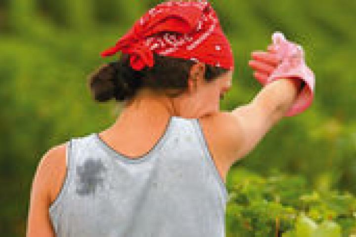 Cooperativas: Las mujeres deben liderar el desarrollo del medio rural y agroalimentario