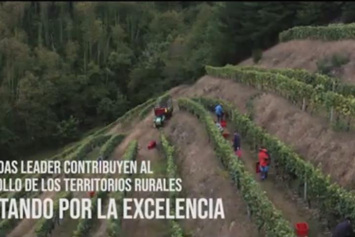 LEADER, con el crecimiento continuo del Vino de Cangas