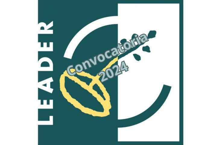 resolución convocatoria 2024