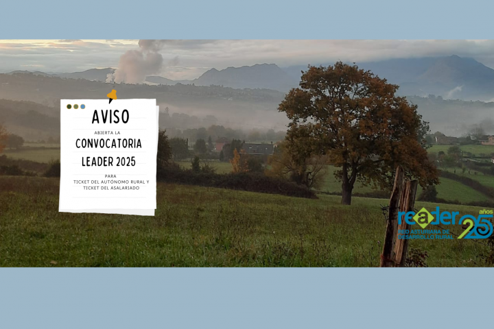 CONVOCATORIA LEADER 2025